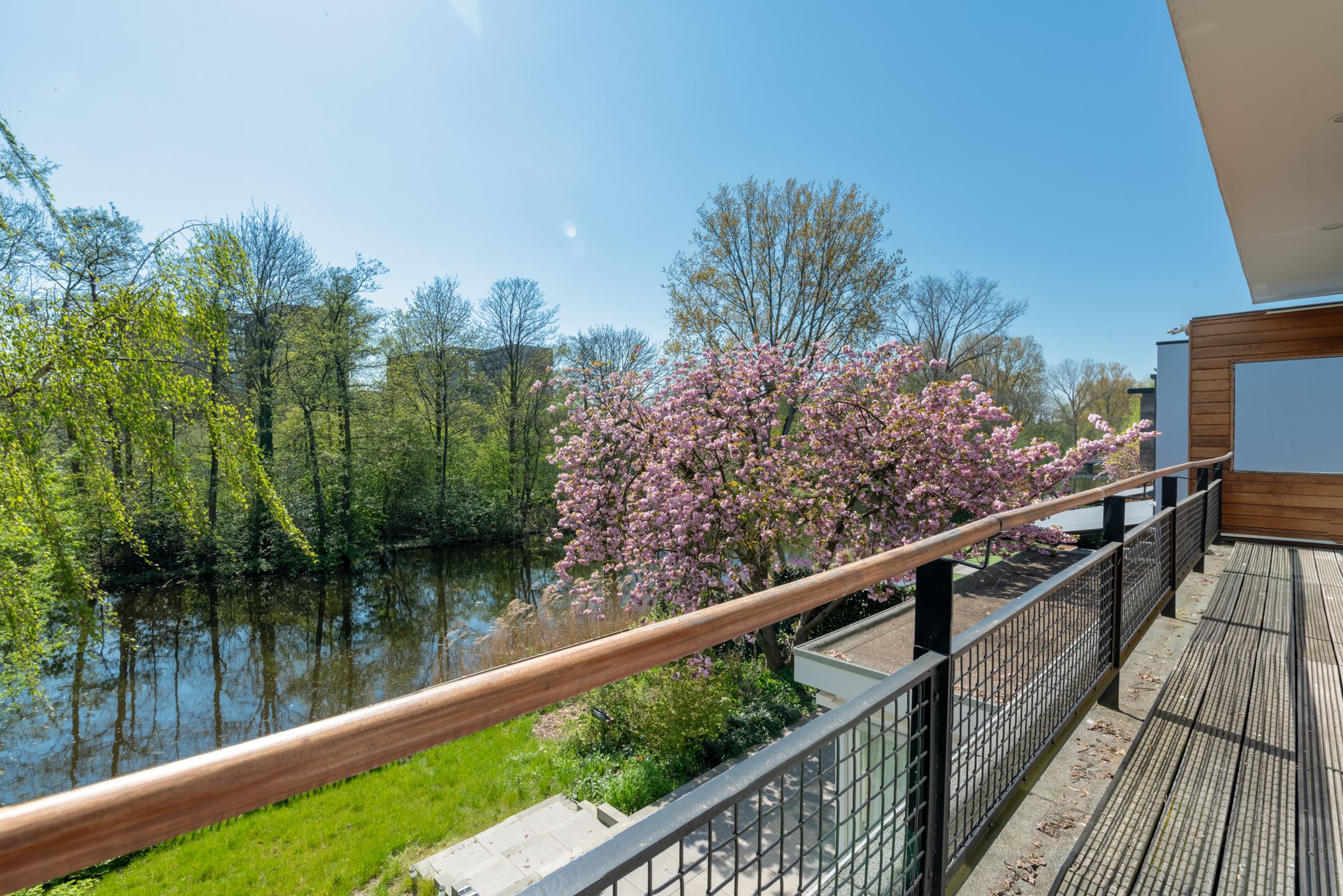 Bekijk Volledige renovatie, stuc en schilderwerk wanden en plafond, ramen deuren en gevels foto 39